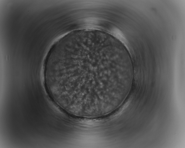 X0000088690987200706141409