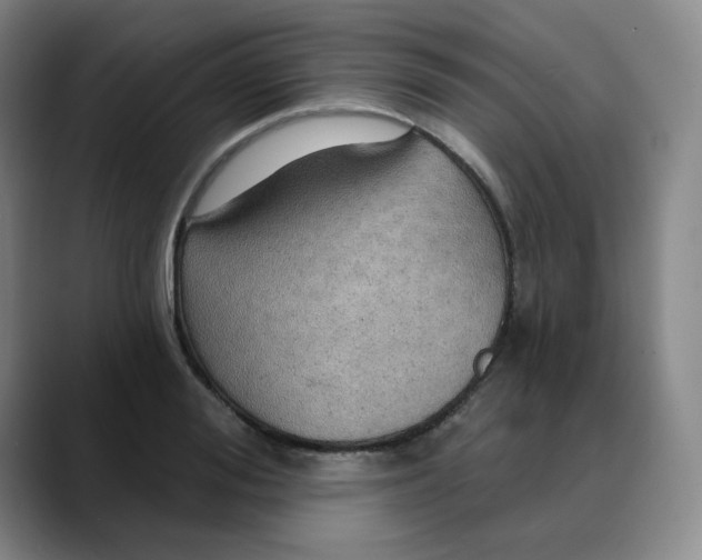 X0000088690988200706141409