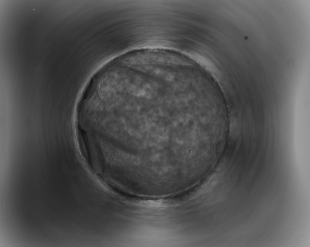 X0000088690990200706141409