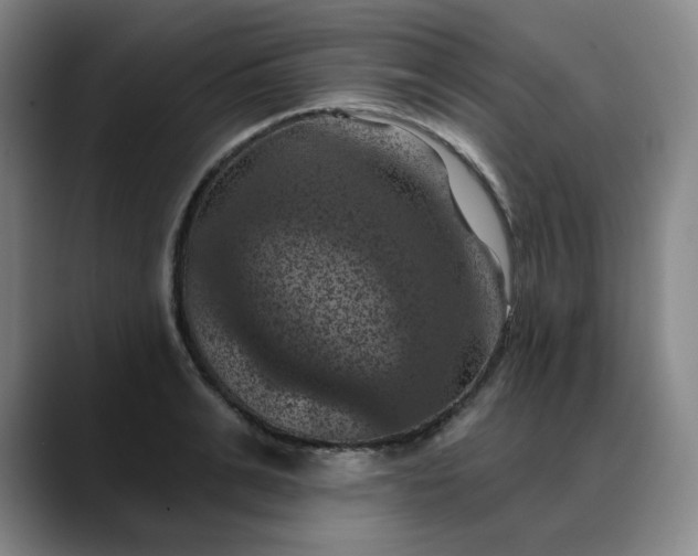X0000088690991200706141409