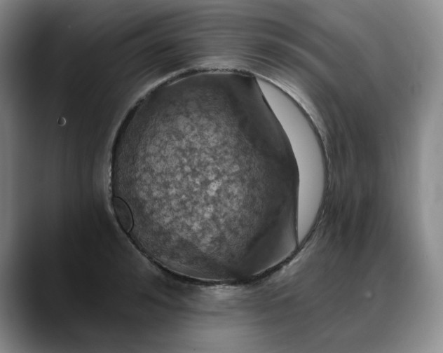 X0000088690992200706141409