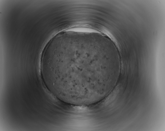X0000088690994200706141409