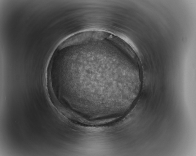 X0000088690996200706141409