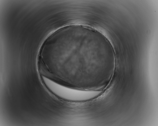 X0000088690997200706141409