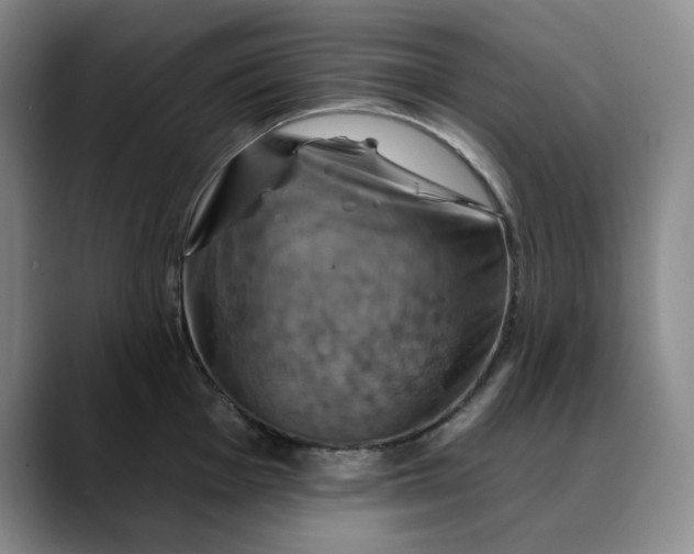 X0000088691001200706141409