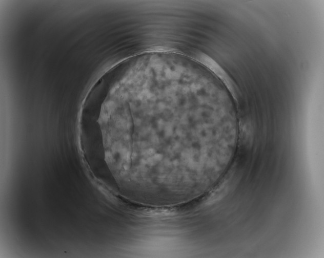 X0000088691002200706141409