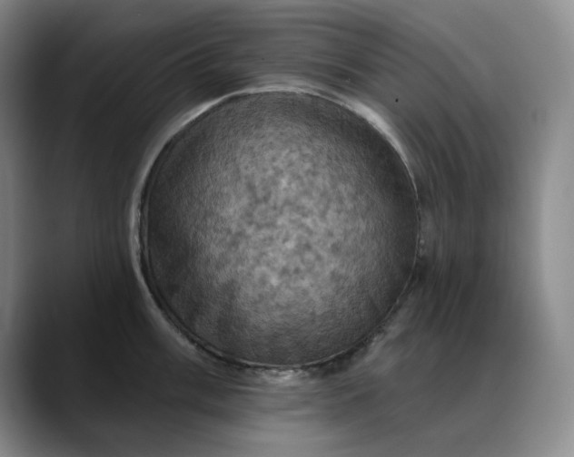 X0000088691003200706141409