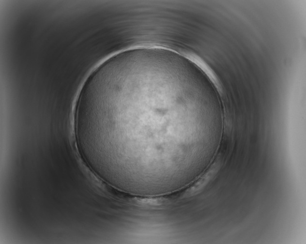 X0000088691004200706141409