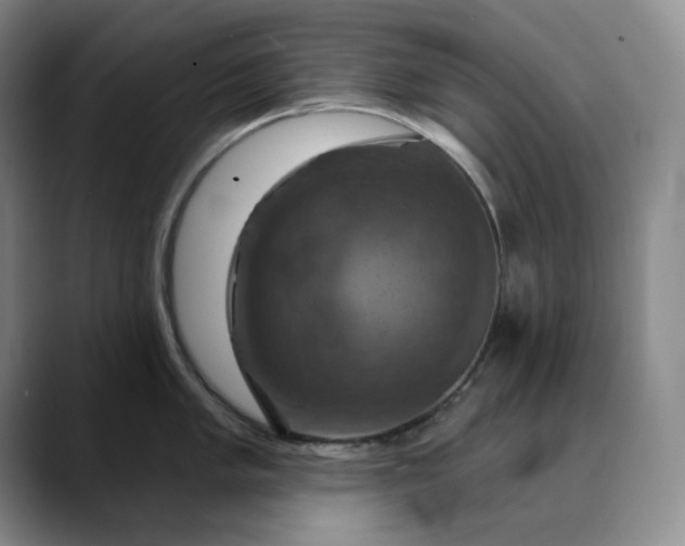 X0000088691005200706141409