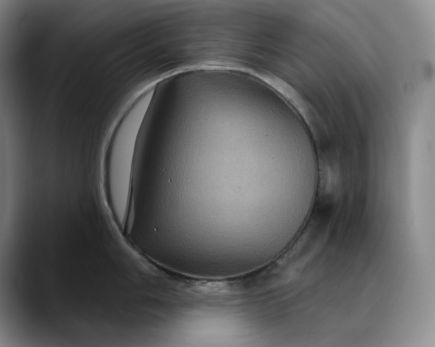 X0000088691006200706141409