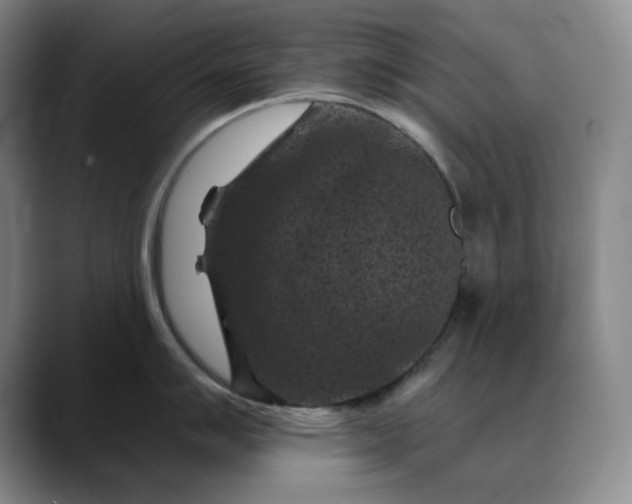 X0000088691007200706141409