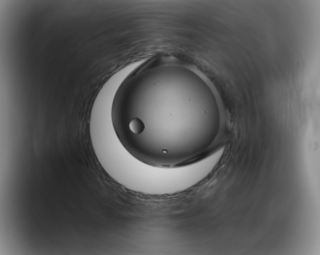 X0000088691010200706141408