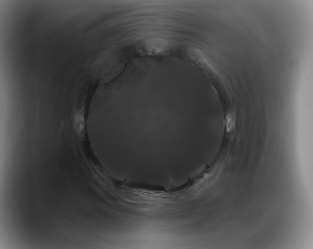 X0000088691011200706141408