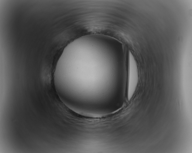 X0000088691012200706141408