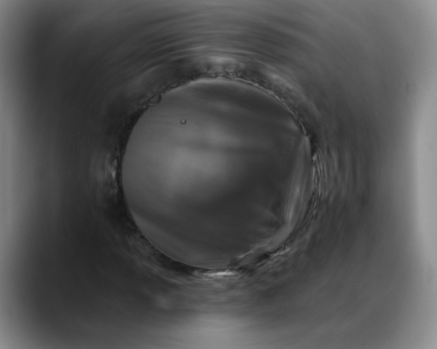 X0000088691013200706141408