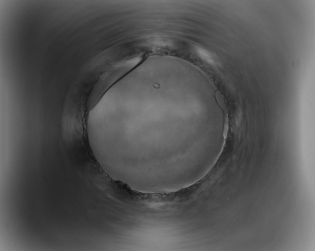 X0000088691014200706141408