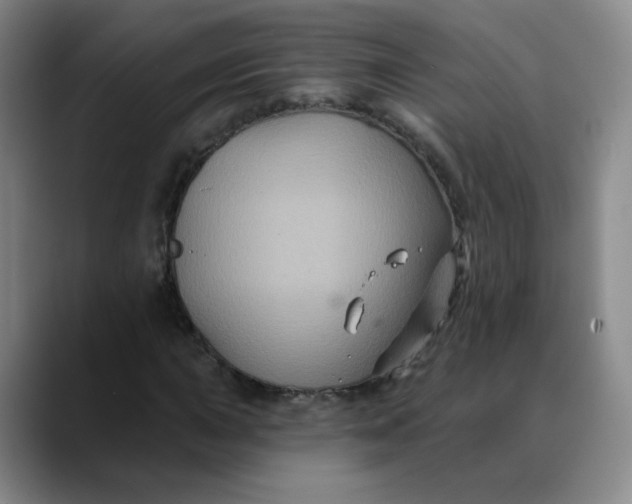 X0000088691015200706141408