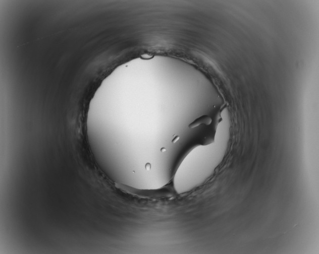 X0000088691016200706141408