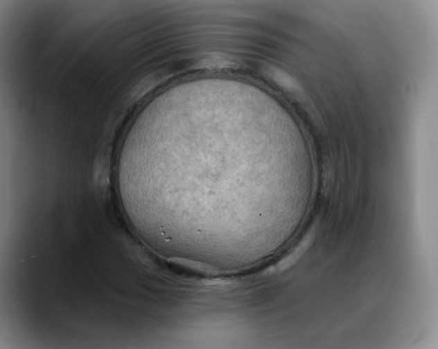 X0000088691017200706141408