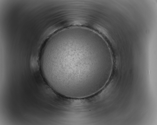 X0000088691018200706141408