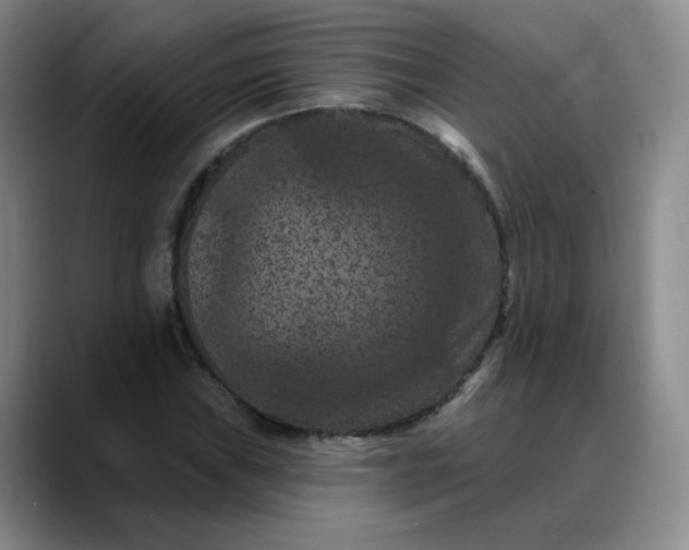 X0000088691019200706141408