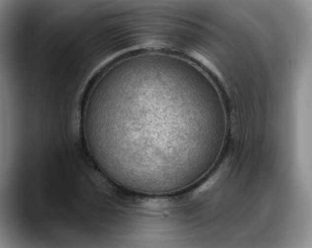 X0000088691021200706141408