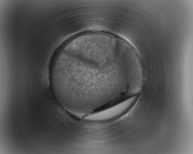 X0000088691022200706141408