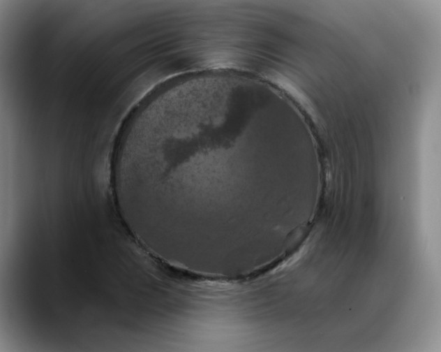 X0000088691023200706141408