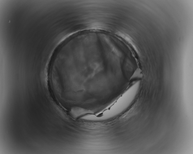 X0000088691024200706141408