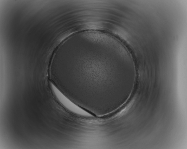 X0000088691025200706141408