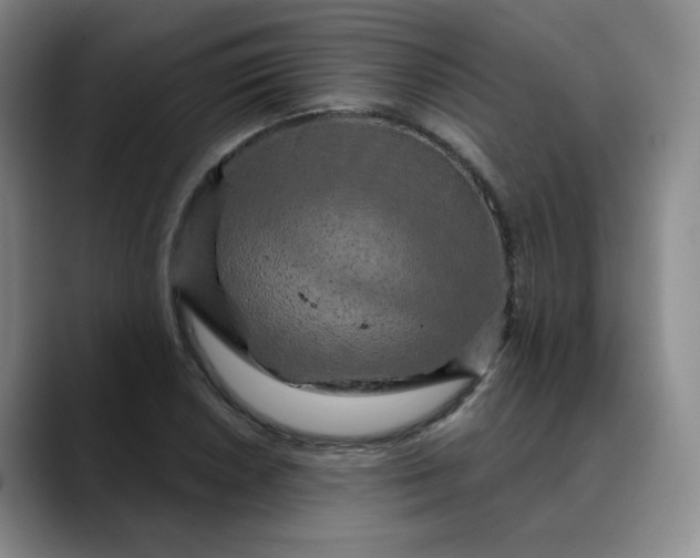 X0000088691026200706141408