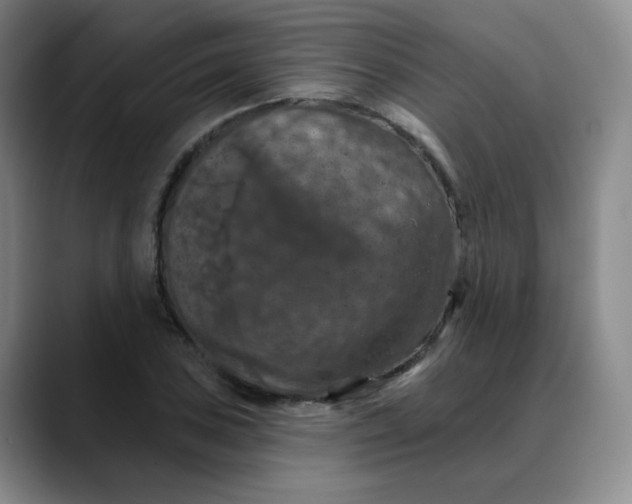 X0000088691027200706141408