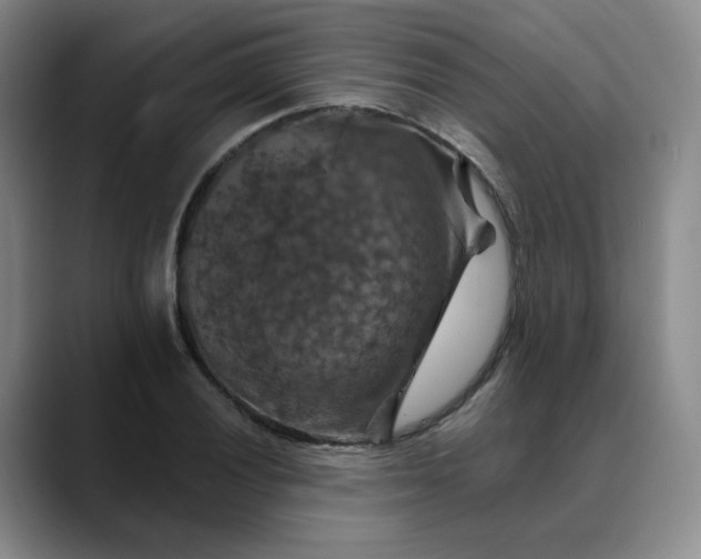 X0000088691028200706141408