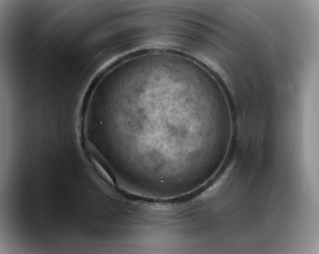 X0000088691029200706141408