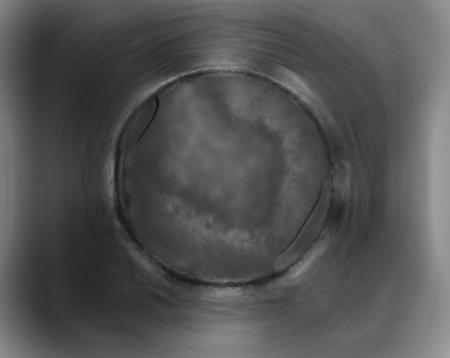 X0000088691030200706141408