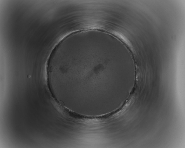 X0000088691031200706141408