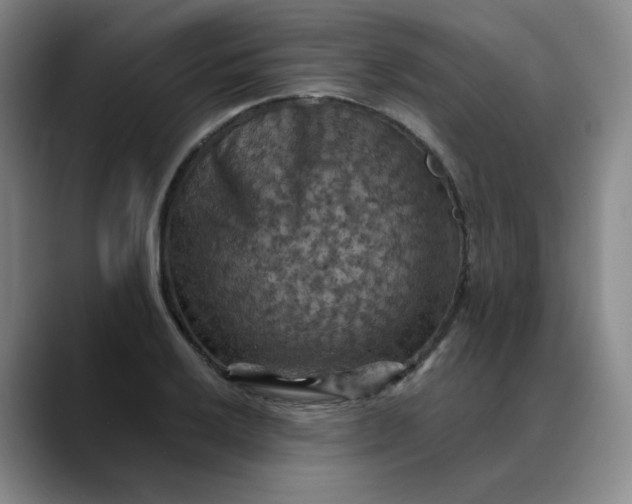 X0000088691032200706141408
