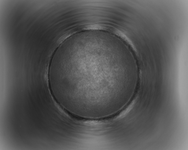 X0000088691033200706141408