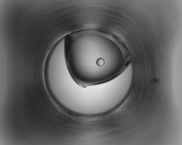 X0000088691034200706141408