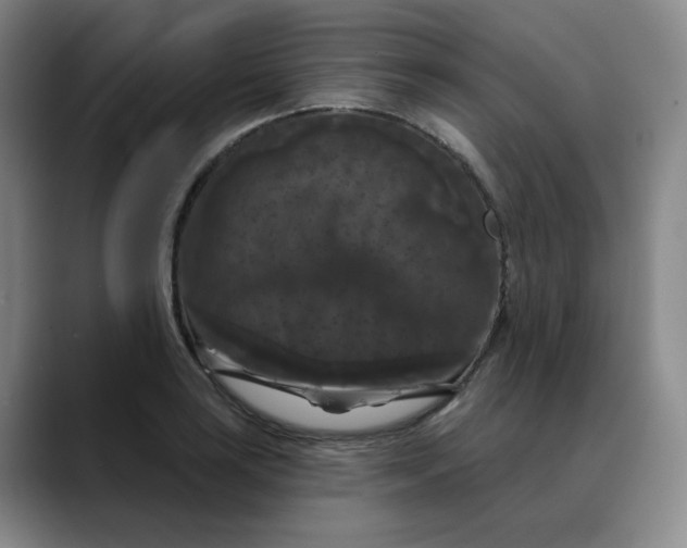 X0000088691035200706141408