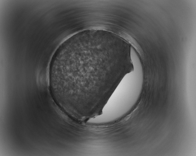 X0000088691036200706141408