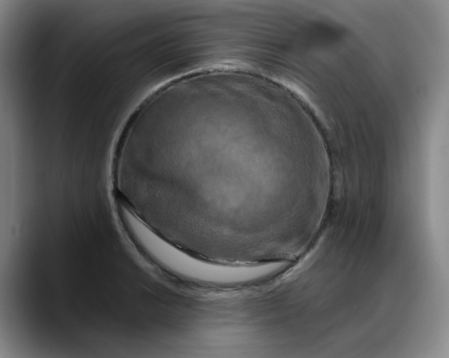 X0000088691038200706141408