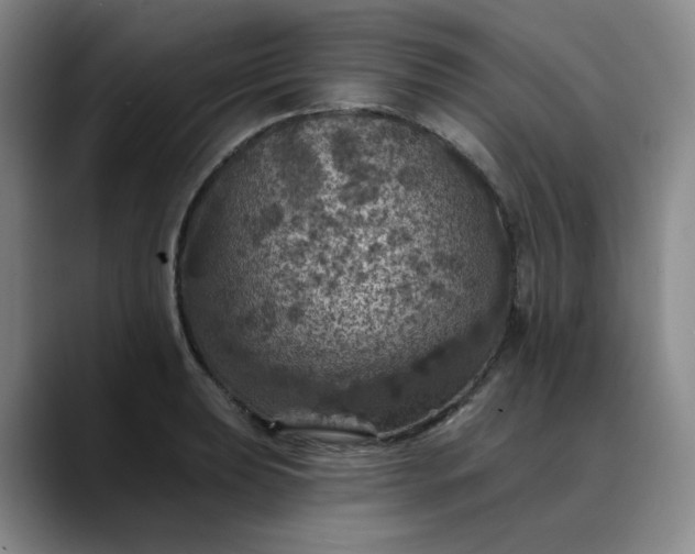 X0000088691039200706141409