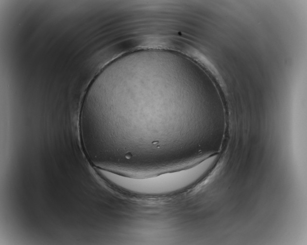X0000088691041200706141409