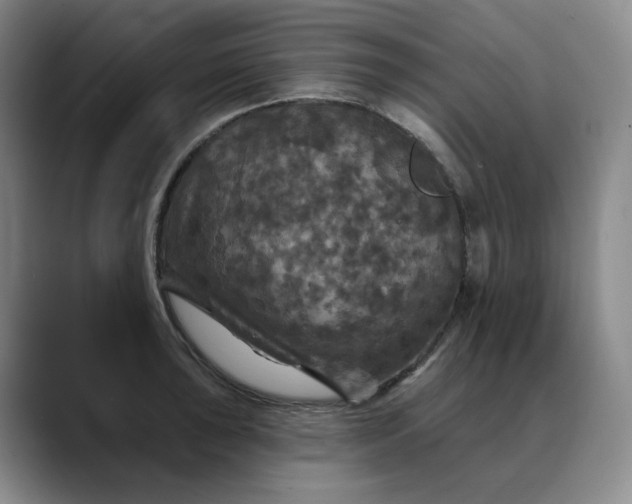 X0000088691043200706141409