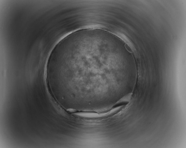 X0000088691044200706141409