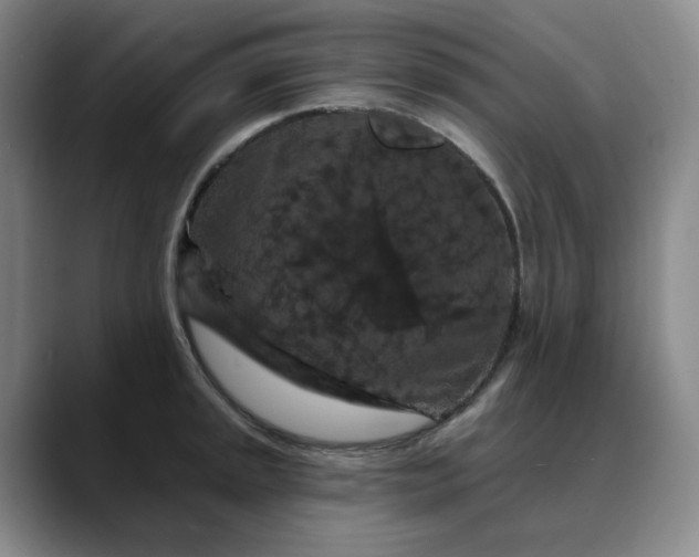 X0000088691045200706141409