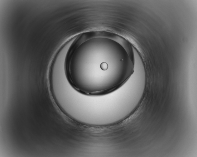 X0000088691046200706141409