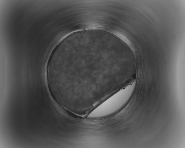 X0000088691047200706141409