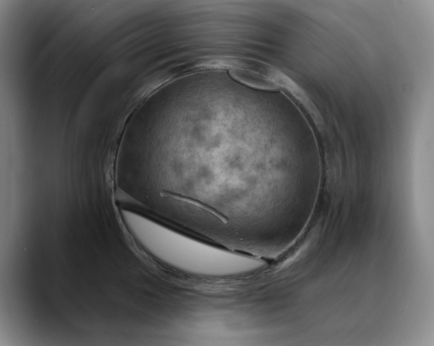 X0000088691049200706141409